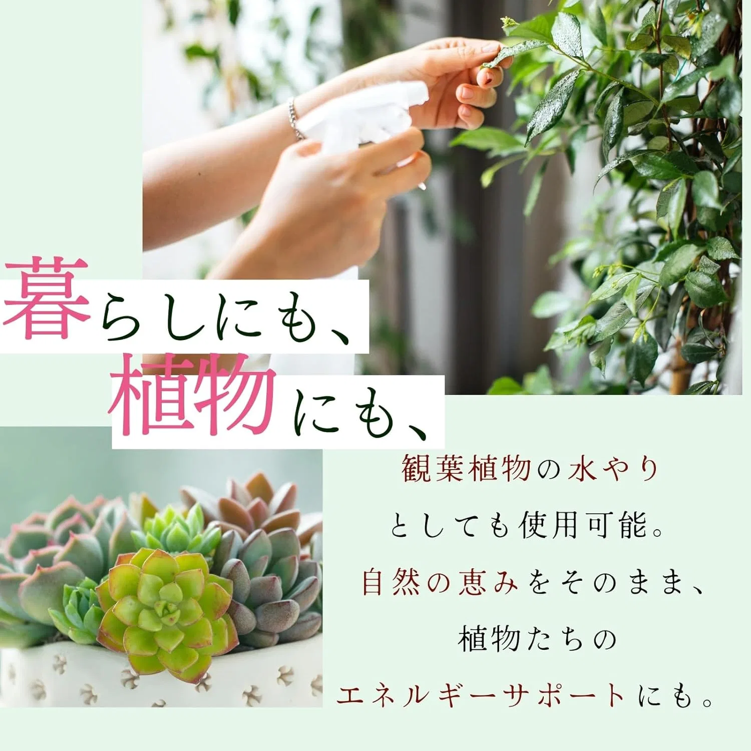 Тоник — Straw Mat JAPAN Pure Distilled Water, 100 мл — фото 4