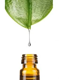 Смесь Softfeel 1388 Eco от Dragonspice Naturwaren, 1 литр Dragonspice Naturwaren