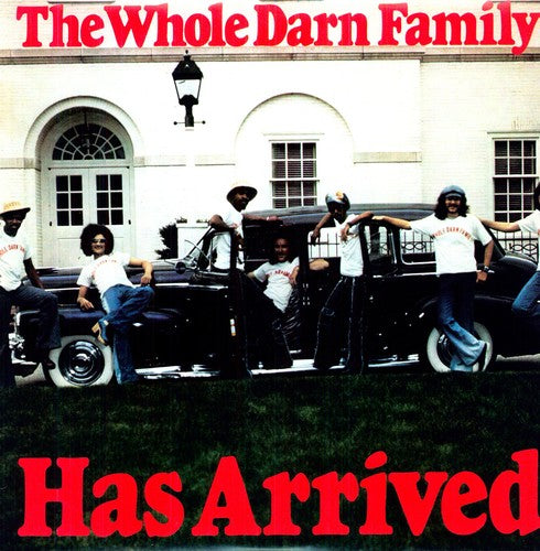 

Виниловая пластинка Whole Darn Family: Has Arrived