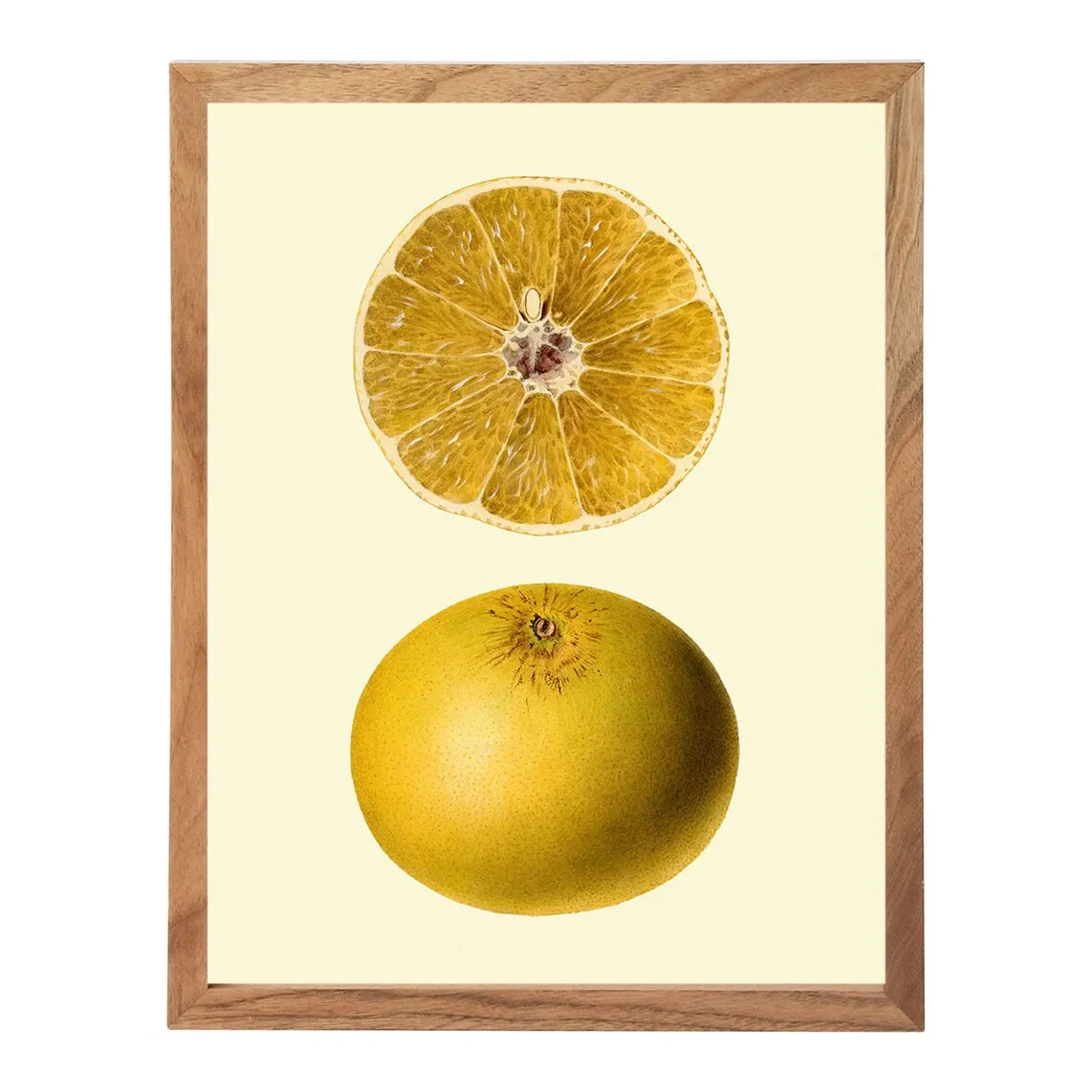 

Принт Dybahl Orange Fruit + полная фоторамка Thor El Corte Inglés, естественный