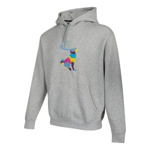 

Толстовка Nike graphic hoodie 'Grey', серый