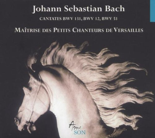 

CD диск Bach, J.S.: Cantatas BWV 12 51 131