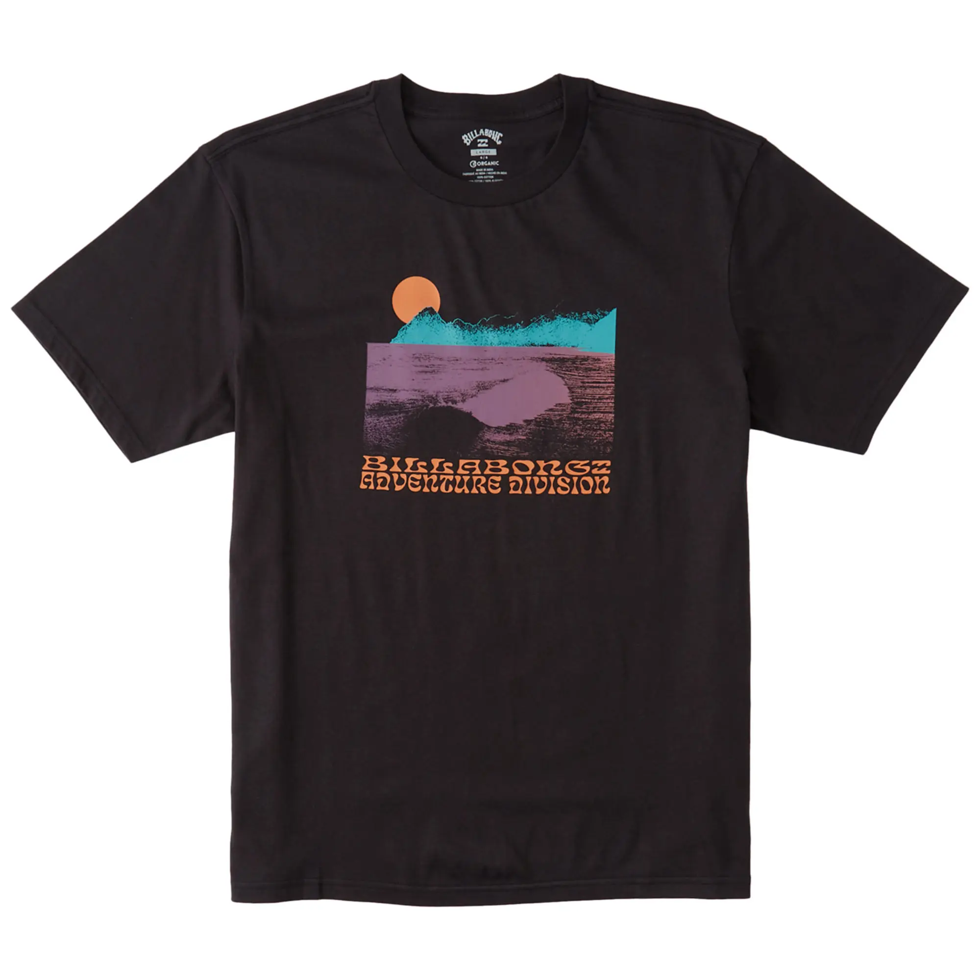 

Мужская органическая футболка Alaska Wave Billabong, Washed Black, Черный, Мужская органическая футболка Alaska Wave Billabong, Washed Black