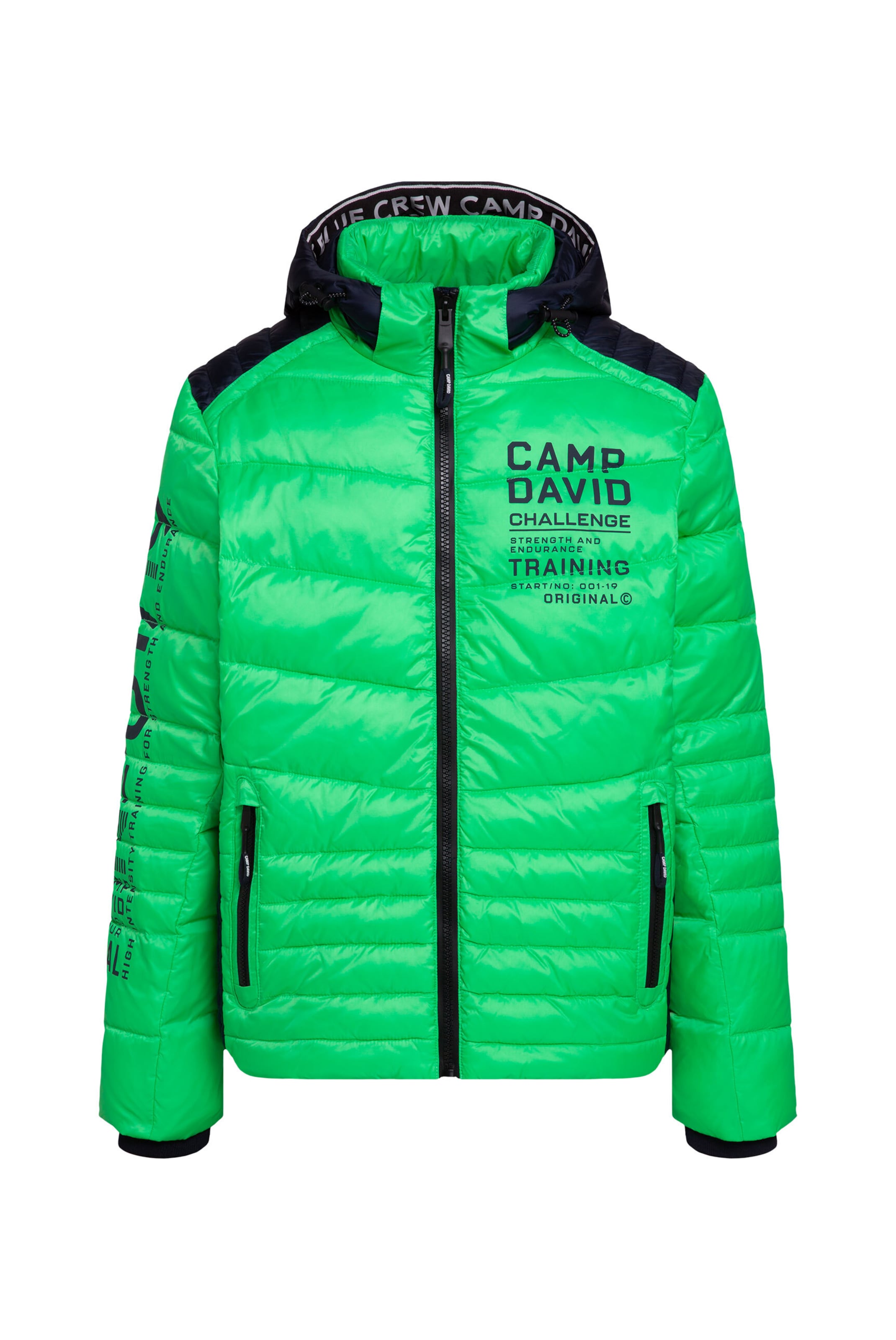 

CAMP DAVID Зимняя куртка в цвете Navy, Green