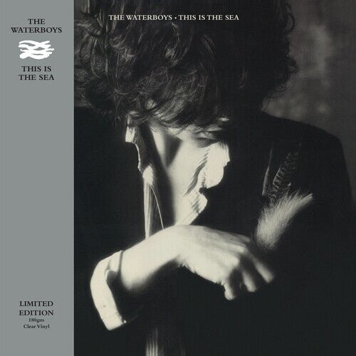 

Виниловая пластинка Waterboys - This Is The Sea - Clear