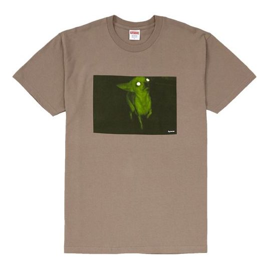 

Футболка fw18 chris cunningham chihuahua taupe tee Supreme, коричневый