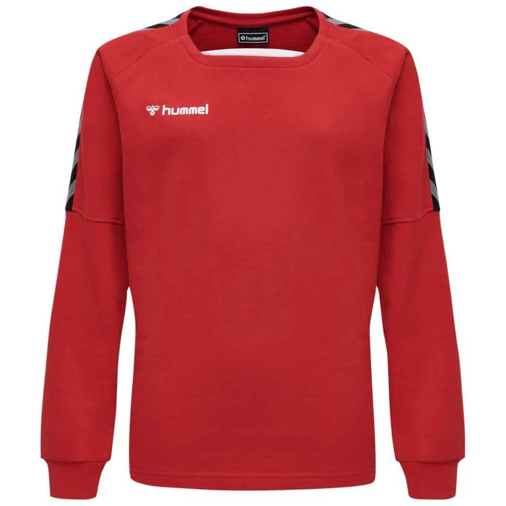 

Толстовка Hummel Authentic Training, красный