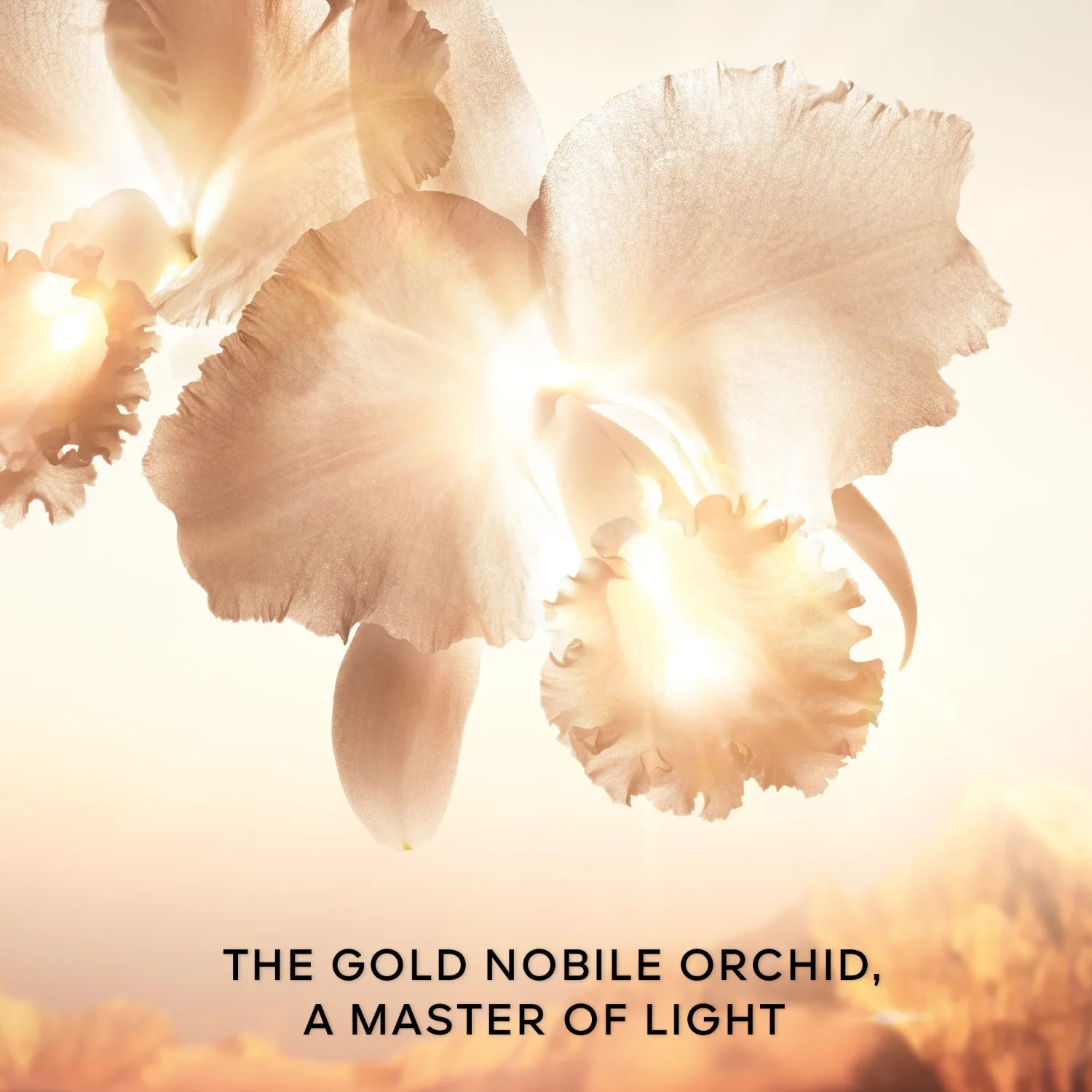 Gesichtslotion Orchidée Imperiale Gold Essence Guerlain, 140 мл — фото 4