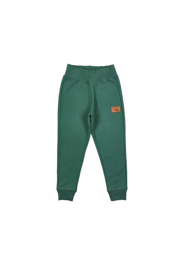 

Спортивные штаны осень зима Lagarto Verde, зеленый
