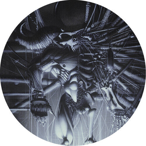 

Виниловая пластинка Danzig: Danzig 5: Blackacidevil (Picture Disc)