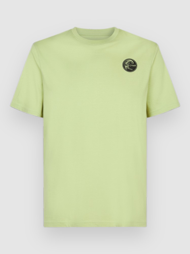 

Футболка O'Neill O'Riginals Surf Shop T-Shirt, ashton leaf, Серый, Футболка O'Neill O'Riginals Surf Shop T-Shirt, ashton leaf