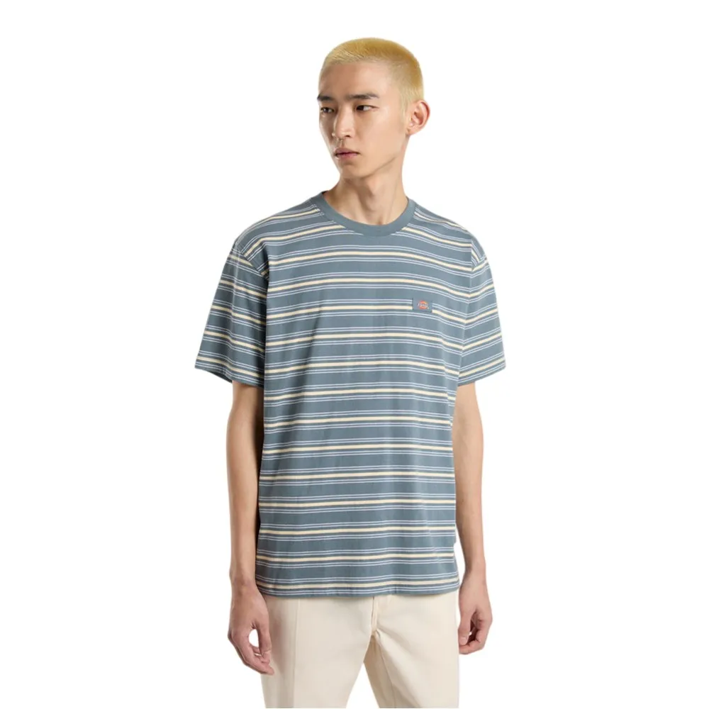 

Футболка с коротким рукавом Dickies Lewistown Stripe, синий