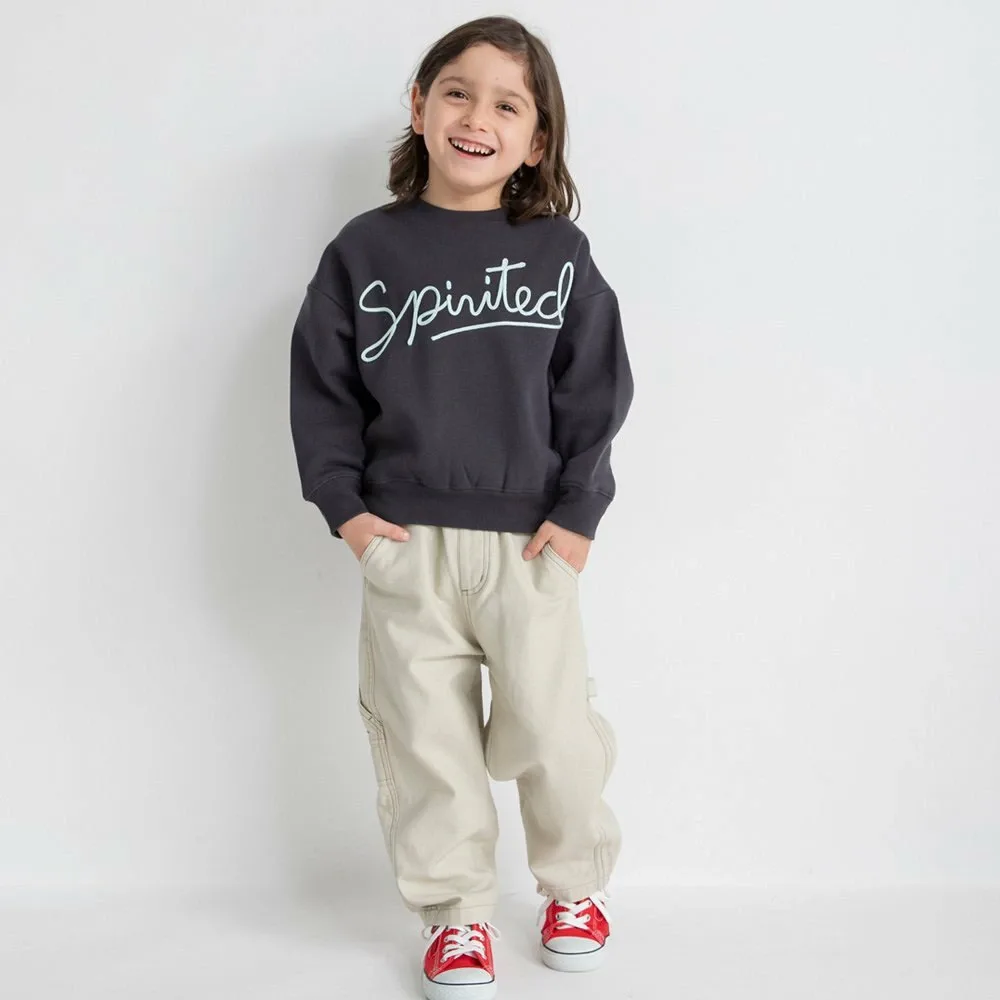 Толстовка с флисовой подкладкой и вышивкой вельветом Branshes, цвет Charcoal Gray — фото 4