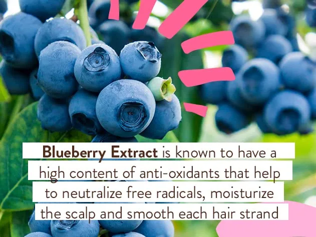Babo Botanicals Smoothing Berry 2-in-1 шампунь и гель для душа - распутывает и питает, устраняет пушистость и предотвращает статику, с маслом примулы вечерней, для всех возрастов, легкий ягодный аромат, Vegan 473 мл (1 шт.) — фото 4