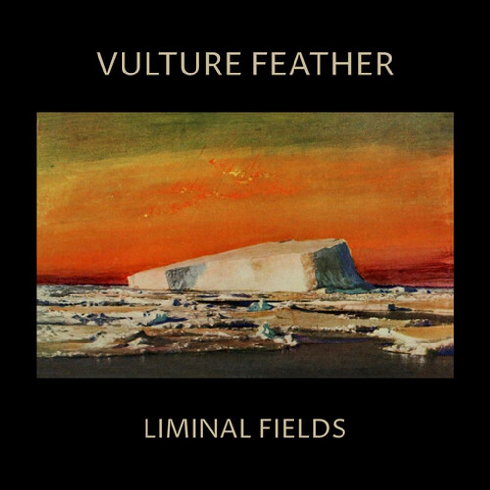 

Виниловая пластинка LP Vulture Feather [Bone Vinyl] - Vulture Feather