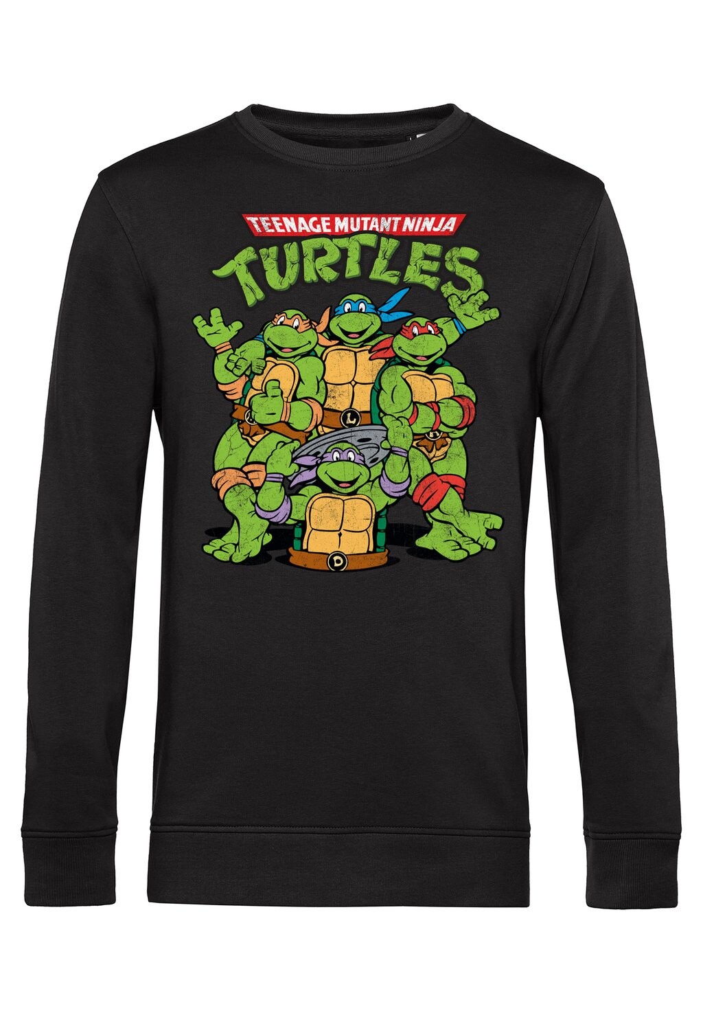 

Толстовка TEENAGE MUTANT NINJA TURTLES TURTLE GROUP Henry Tiger, черный