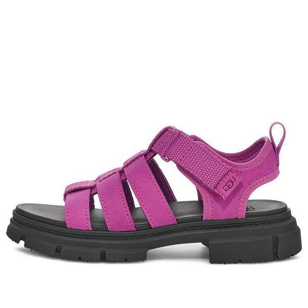 

Сандалии ashton multistrap sandal 'mangosteen' Ugg, фиолетовый