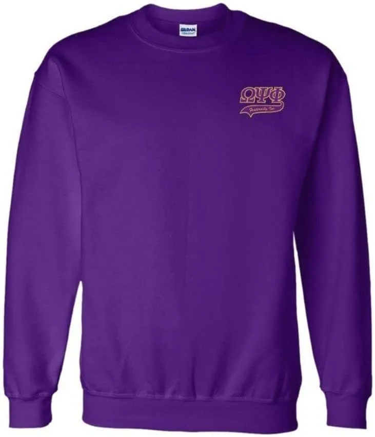 

Толстовка Omega Psi Phi Express Design Group