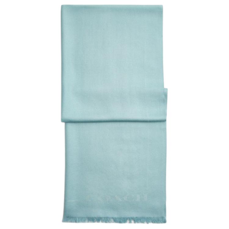 

COACH Шерстяной шарф из овчины с кожаной вязкой унисекс синий, Blue