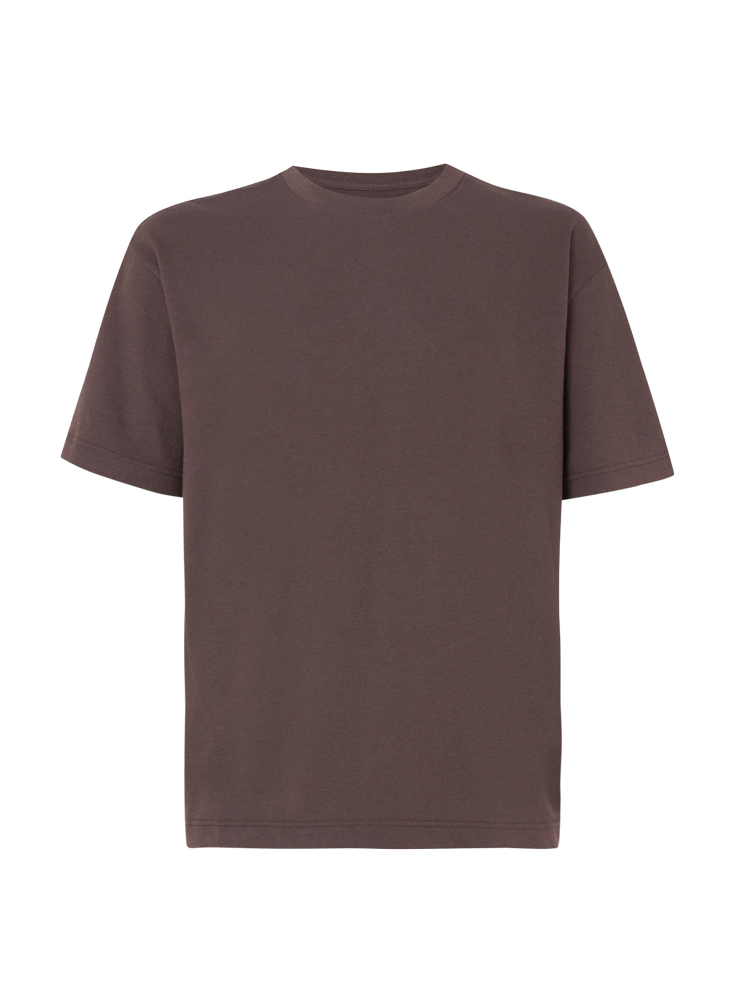 

HOLLISTER Футболка в цвете Chocolate