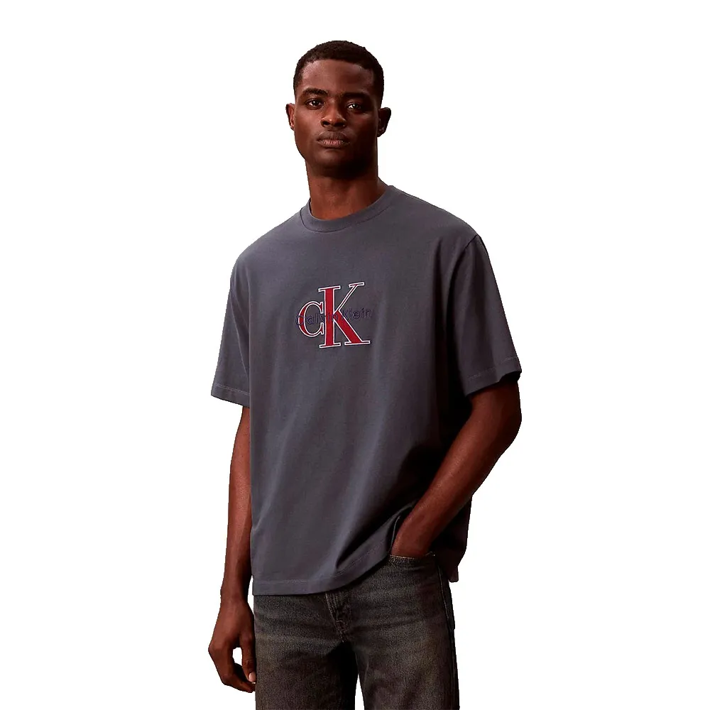 

Футболка с коротким рукавом Calvin Klein Jeans LV04RE815G, серый