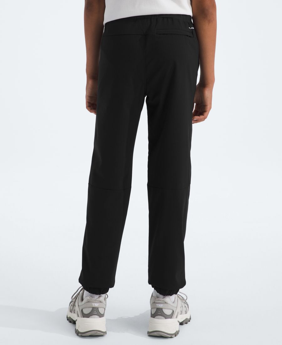 Детские брюки On The Trail Pull-On Pants (размер 6-20) для мальчиков The North Face, Black — фото 3