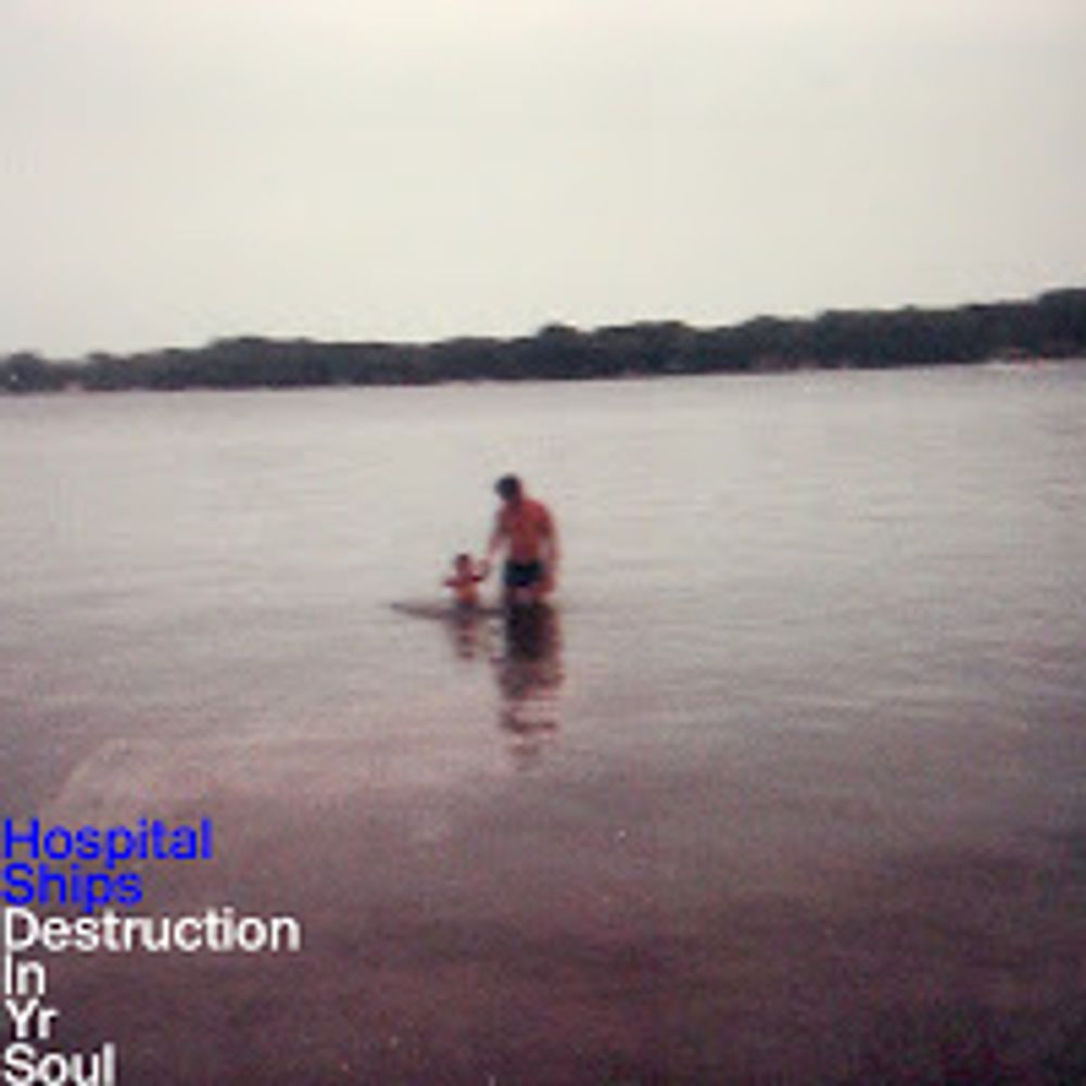 

Диск CD Destruction In Yr Soul - Hospital Ships