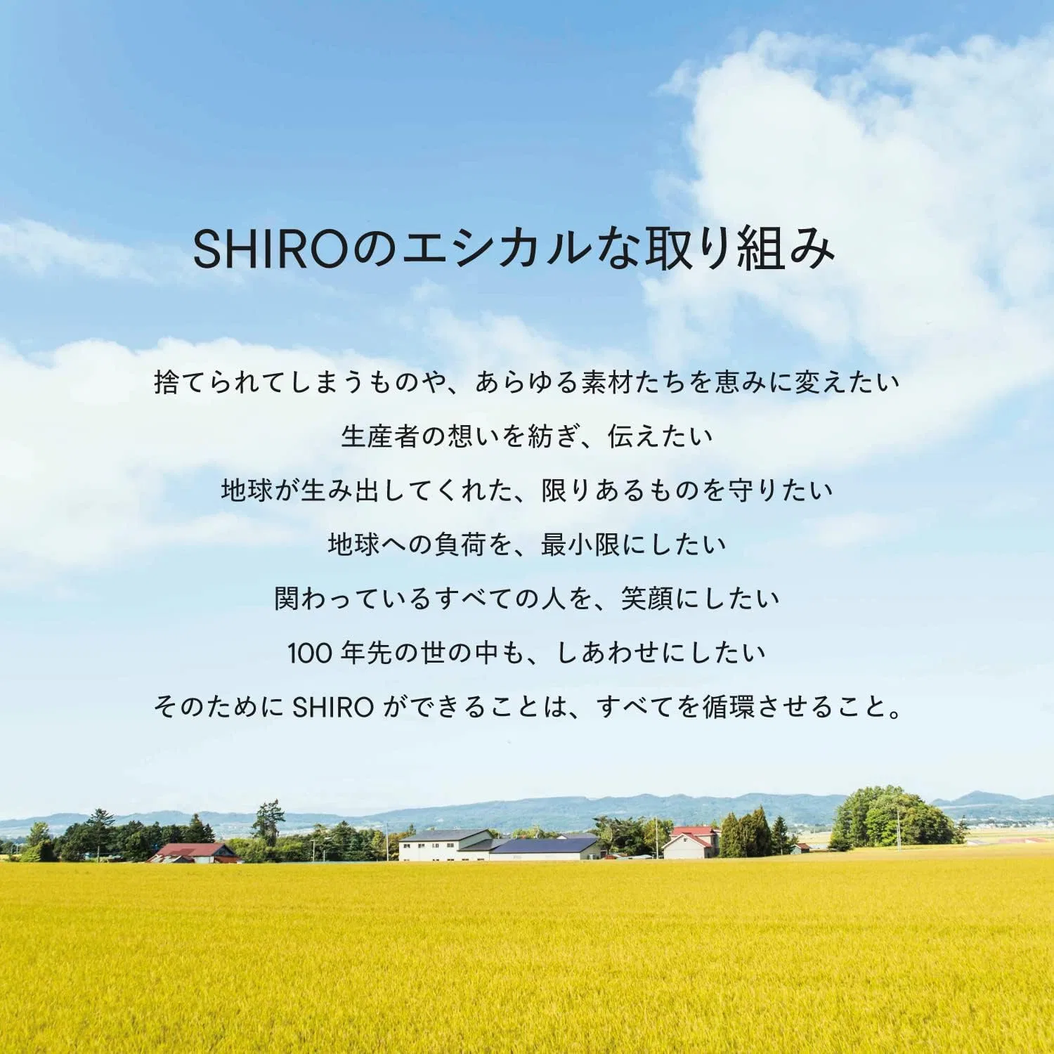Солнцезащитное масло для лица SPF12 PA+ SHIRO Tamanu Oil UV 30 мл — фото 2