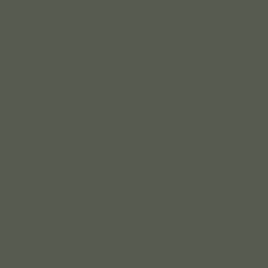 

Шварцгрун РЛМ 70, Paints - Browns, Blacks, Whites, & Greys (Mission Models)