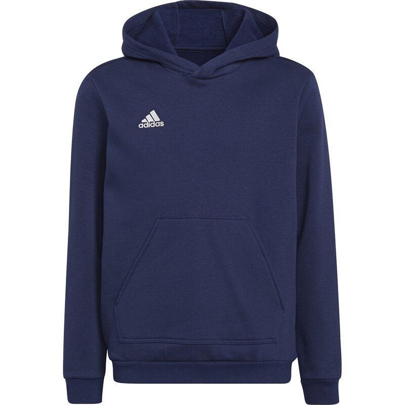 

Толстовка с капюшоном Entrada 22 Sweat Adidas, цвет tenabl