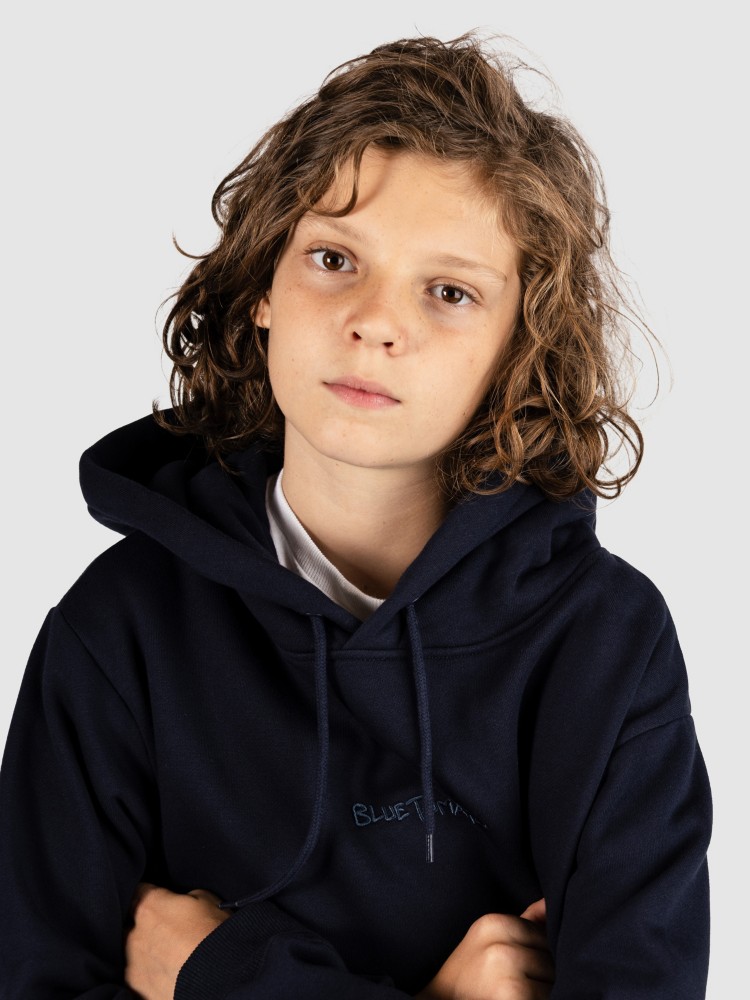 Толстовка Blue Tomato Mini Logo Kids Hoodie, woodland grey — фото 4