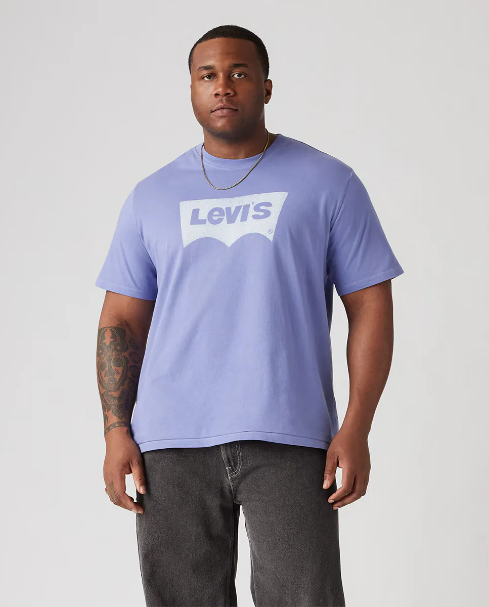 

Мужская футболка с короткими рукавами, большие размеры Levi's, синий