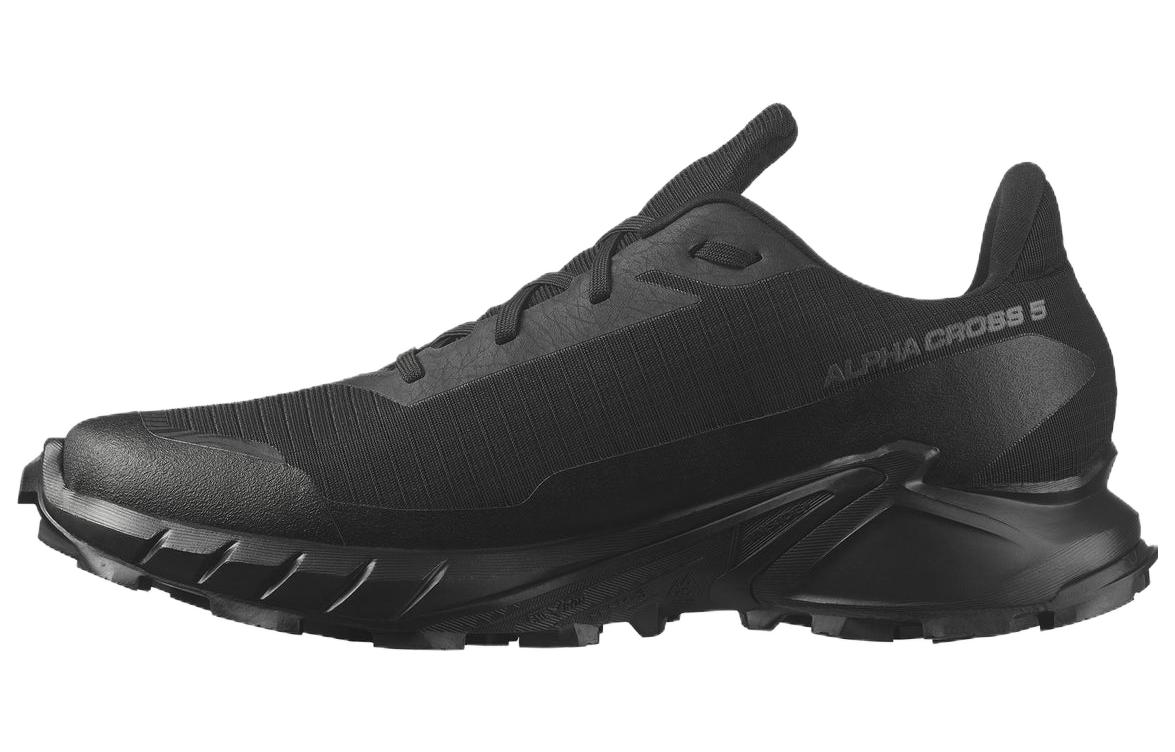 

Кроссовки SALOMON Alphacross 5 GORE-TEX 'Black Ebony', черный