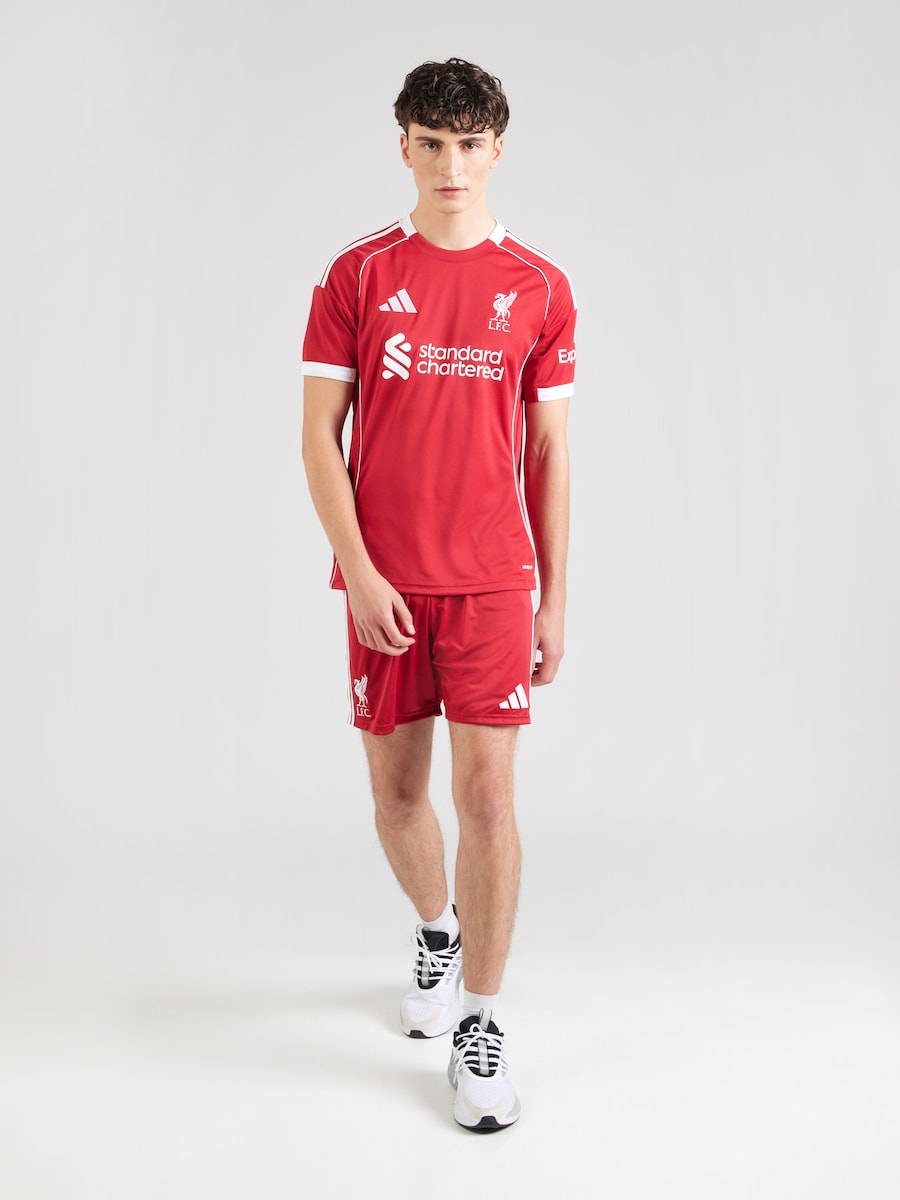 Обычные спортивные штаны ADIDAS PERFORMANCE FC Liverpool FC 25/26, красный — фото 4