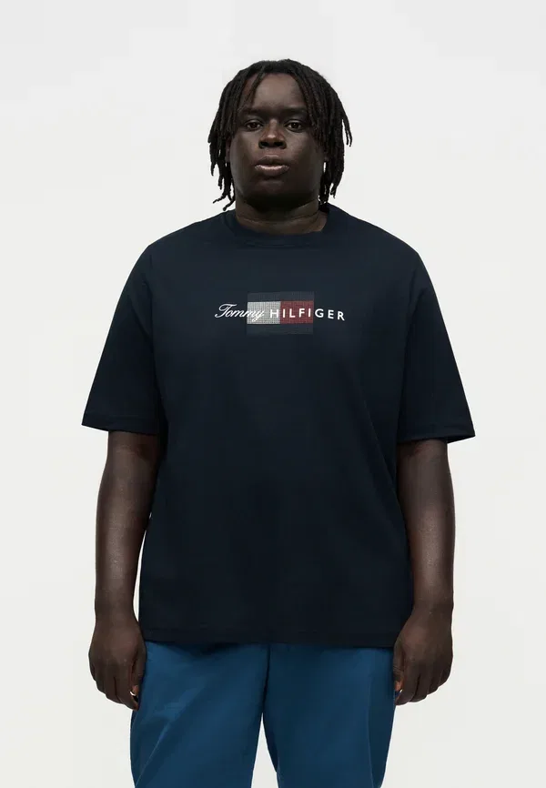 Футболка Tommy Hilfiger Script flag tee brand love print t-shirt, цвет пустынное небо