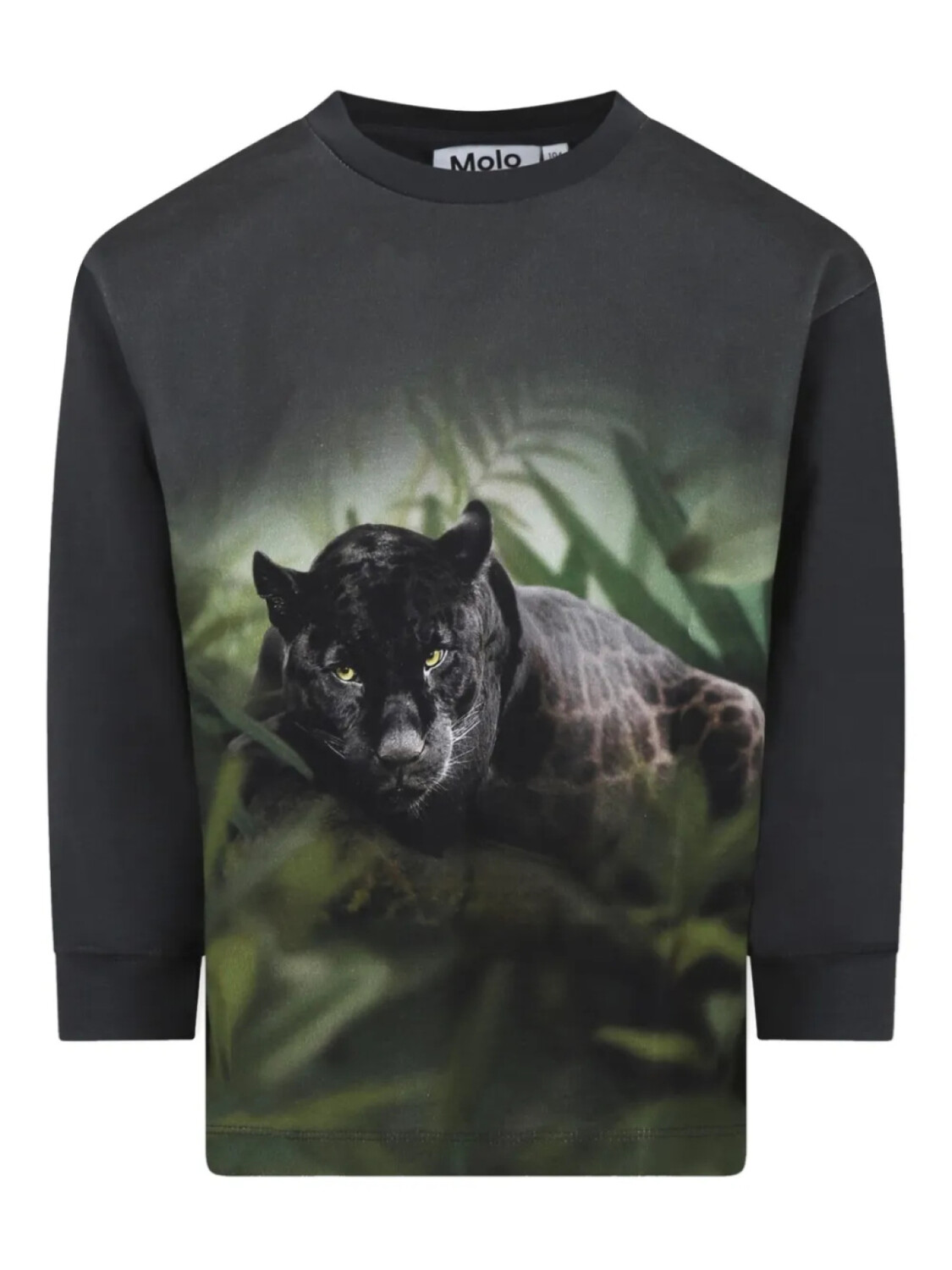 

Толстовка Molo panther, серый