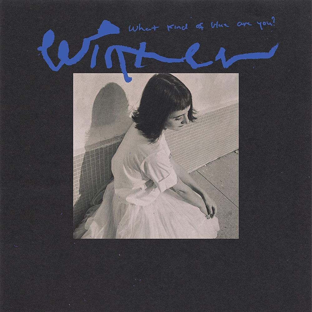 

Виниловая пластинка LP What Kind Of Blue Are You - Winter