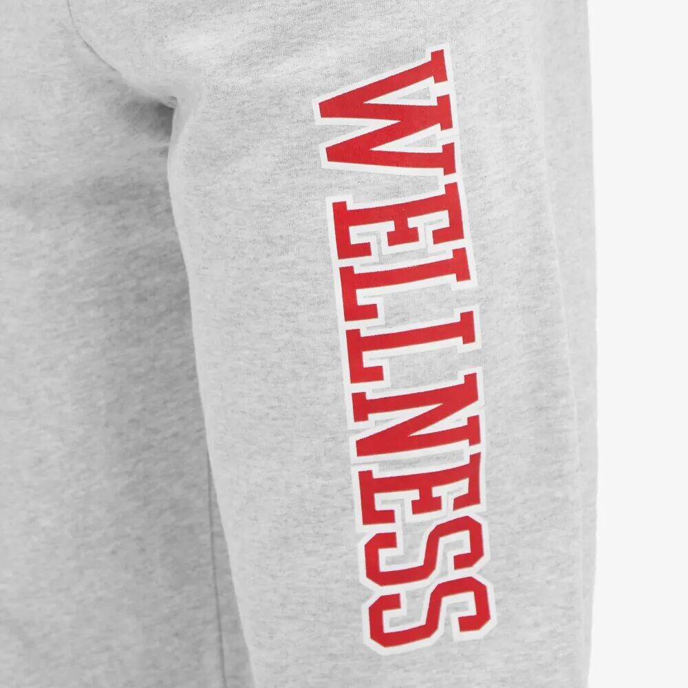 

Sporty & Rich Спортивные и богатые спортивные брюки wellness ivy, серый