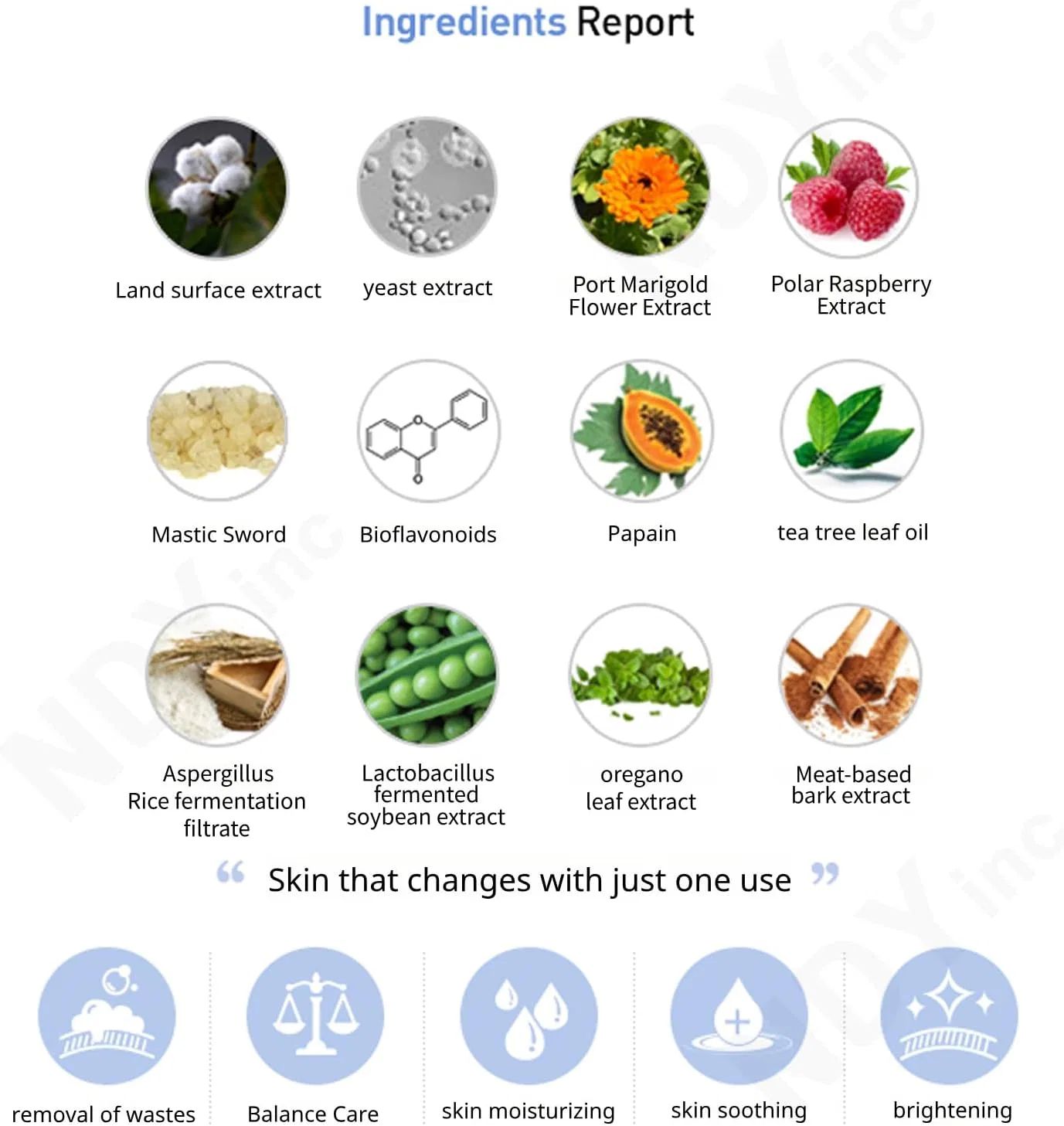 Пудра для умывания Rene Cell Placen Enzyme Sub Acid Wash Powder, 80 г — фото 4