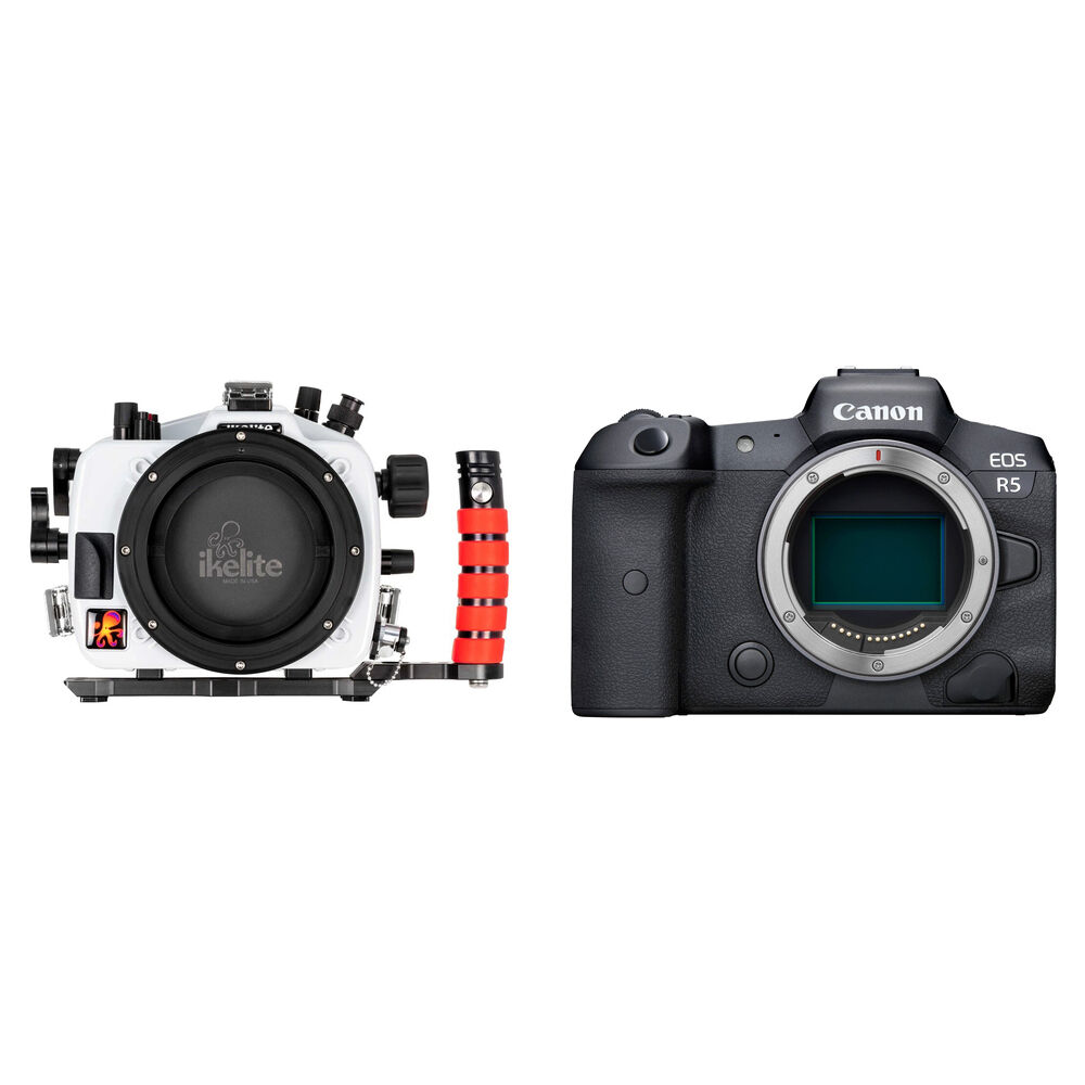 

Ikelite Underwater Housing and Canon EOS R5 Mirrorless Camera