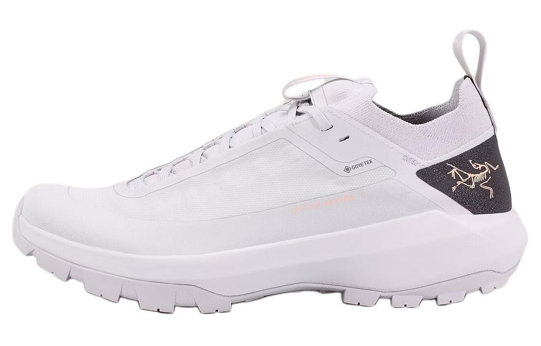 

Кроссовки походные мужские Arcteryx Vertex GTX, серый