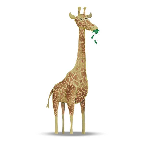 

Фреска Komar Cute Animal Giraffe цвет weiß/braun/grün