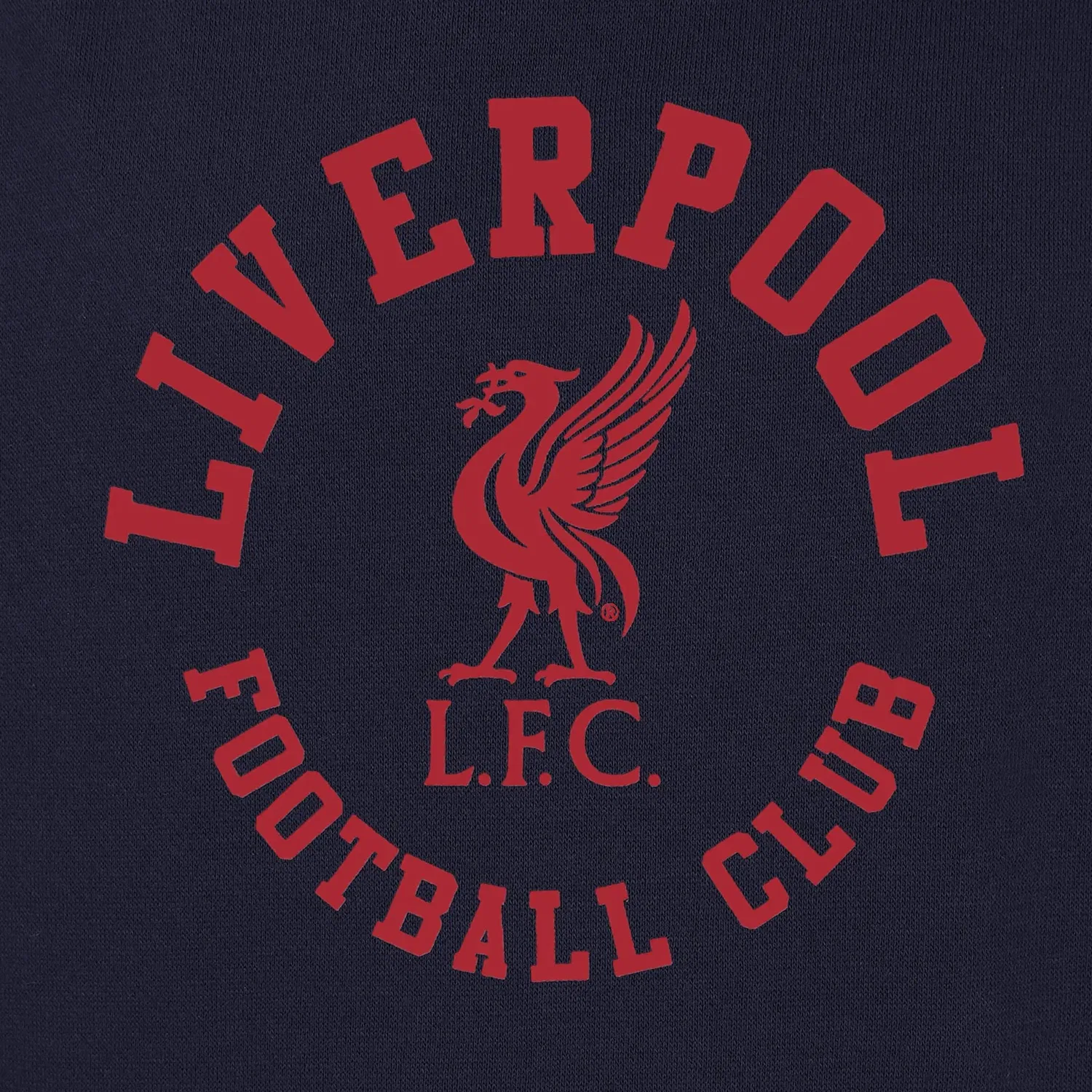 Детская худи Liverpool FC с логотипом, темно-синий — фото 2