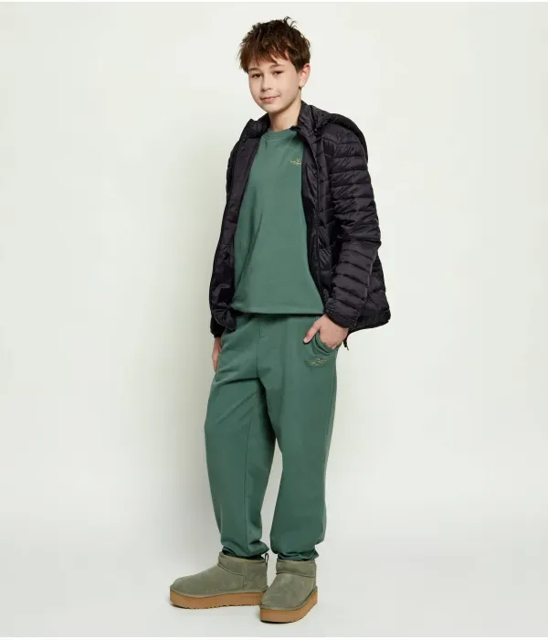 Спортивные штаны regular fit Aeronautica Militare, зеленый — фото 2