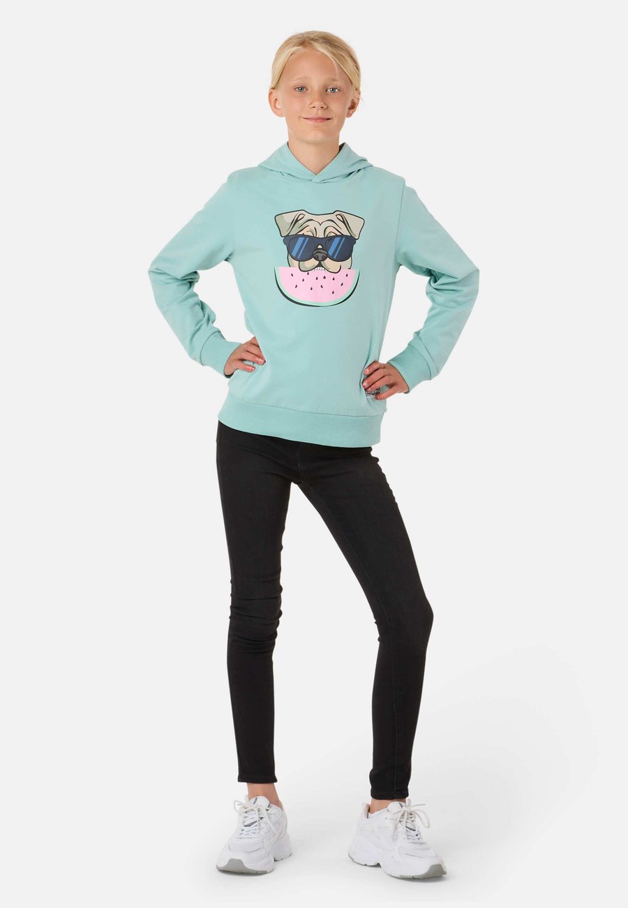 

Худи Denim Factory SAN DIEGO, Sage Green Watermelon/Green