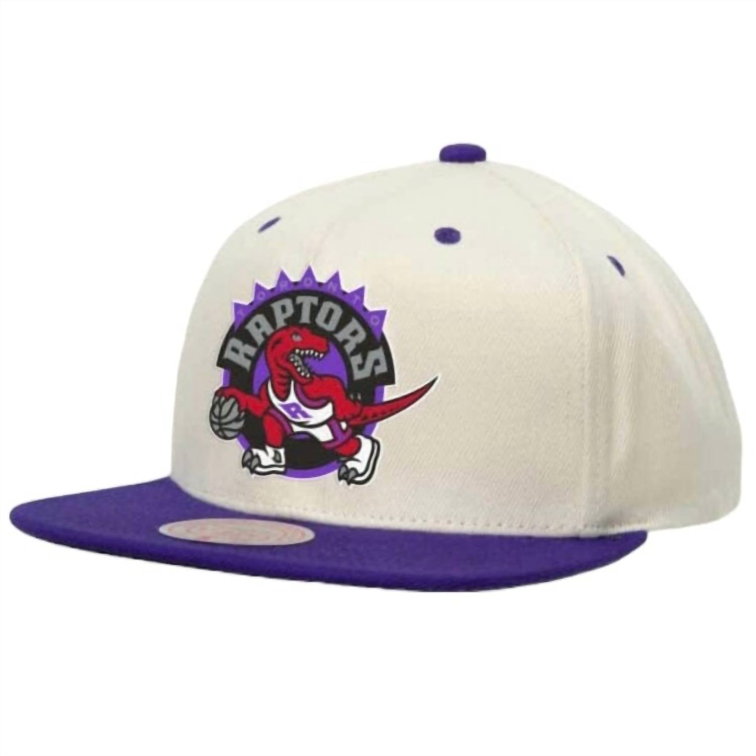 

Мужская бейсболка NBA Toronto Raptors Sail 2 Tone Snapback в цвете Off White Mitchell & Ness