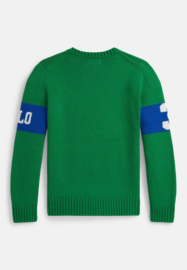 Свитер с круглым вырезом в стиле интарсии для верховой езды 714y Polo Ralph Lauren, Cruise Green Multi — фото 2