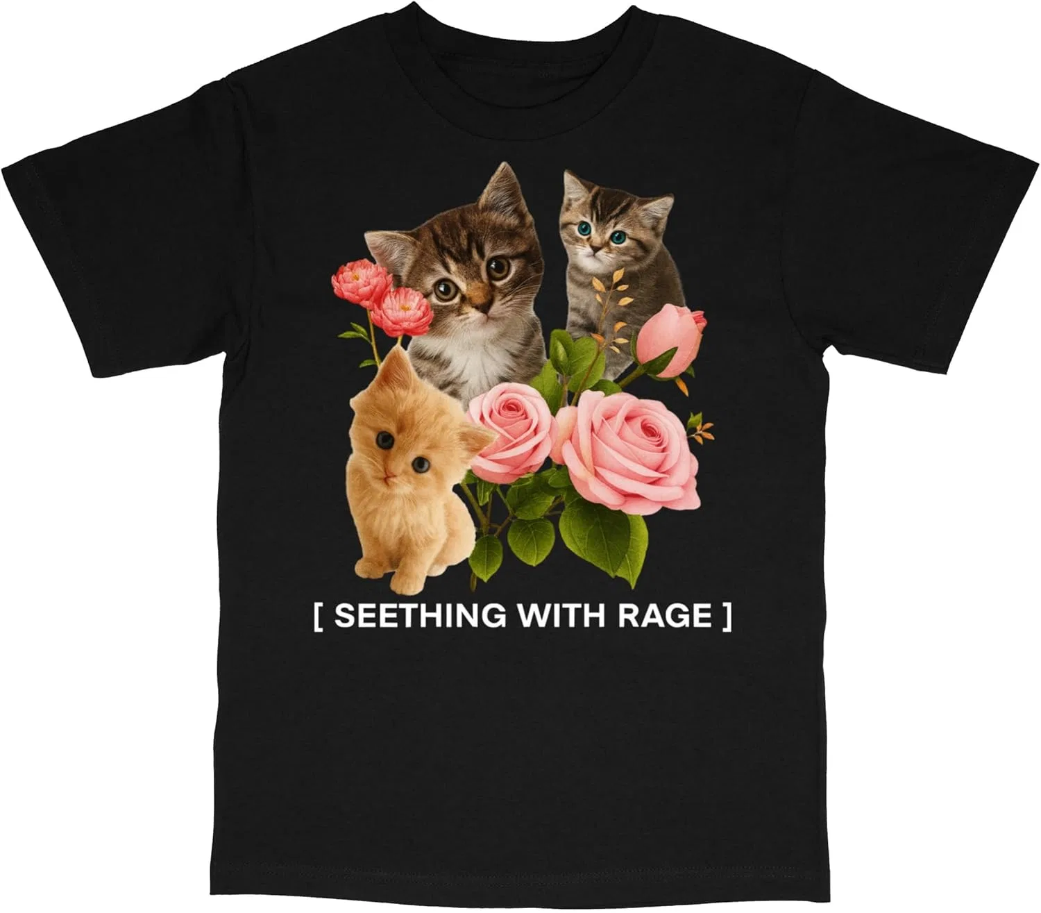 Футболка с ироничным принтом "Кот в ярости" GENERIC, черный