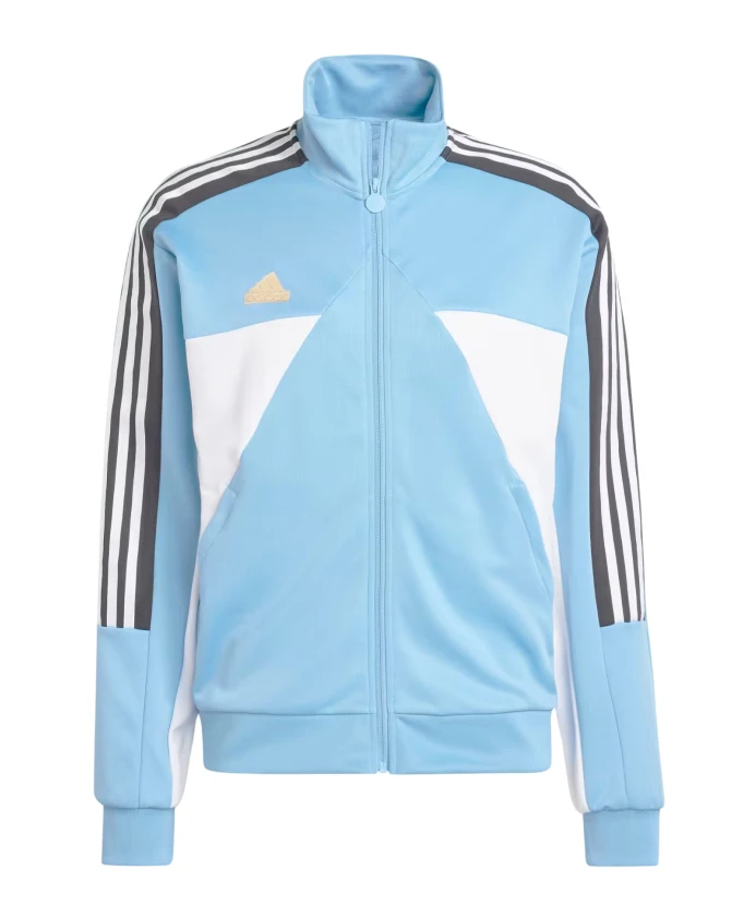 

Мужская толстовка Nations Pack Adidas, синий