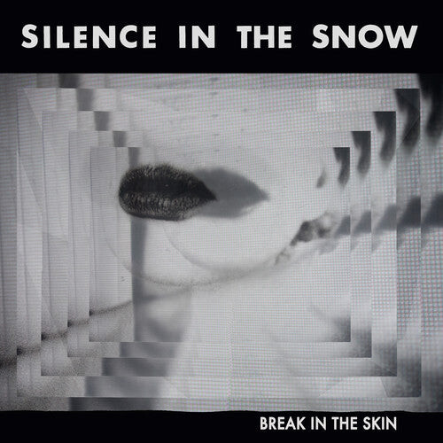 

CD диск Silence in the Snow: Break In The Skin